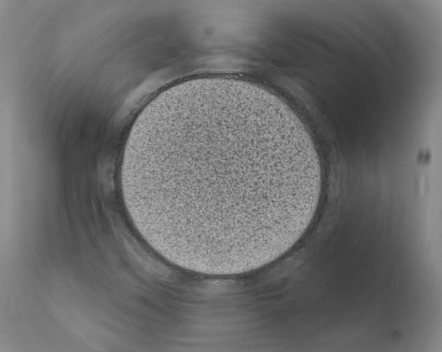 X0000110941451200907311006
