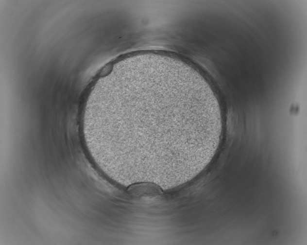 X0000110941452200907311006