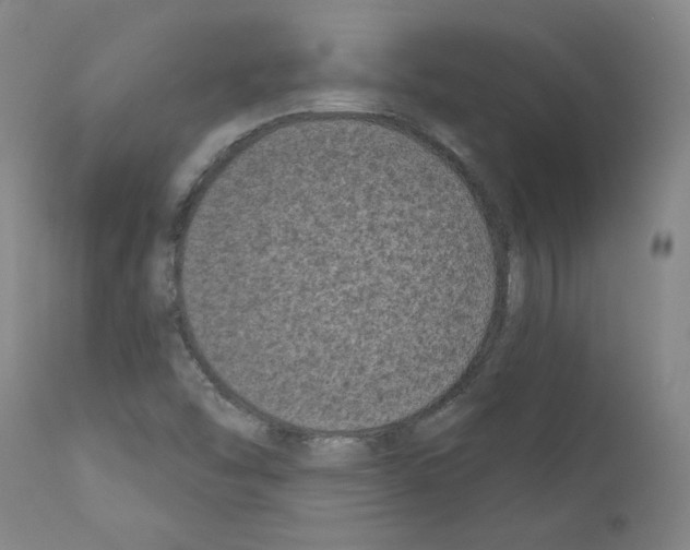 X0000110941454200907311006