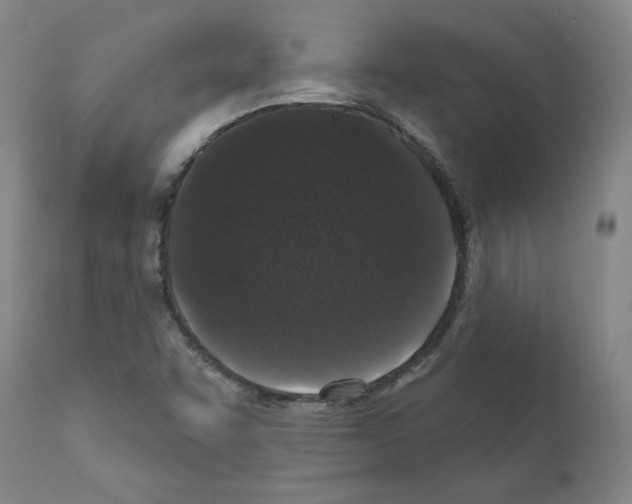 X0000110941455200907311006