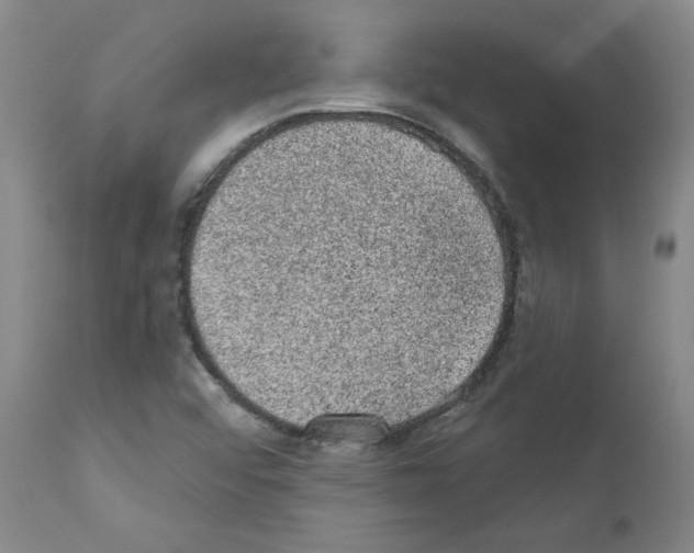 X0000110941456200907311006