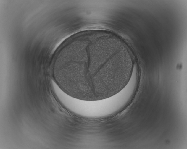 X0000110941457200907311005