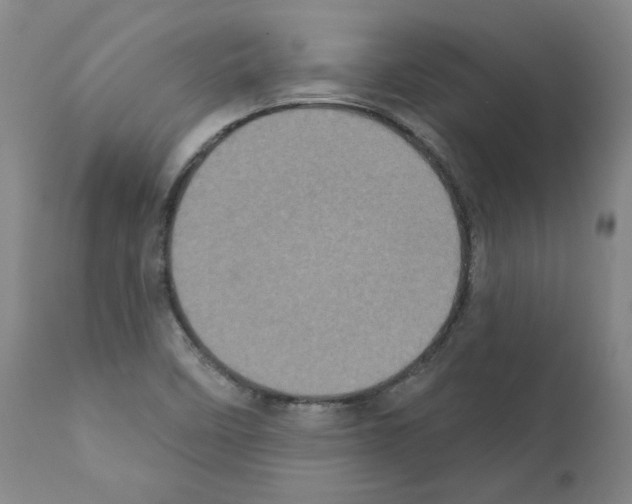 X0000110941458200907311005