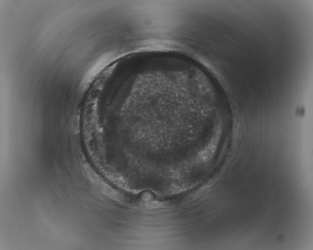X0000110941459200907311005