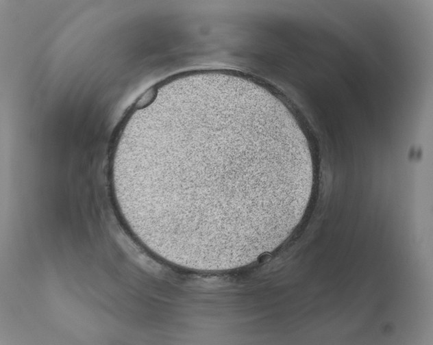 X0000110941460200907311005