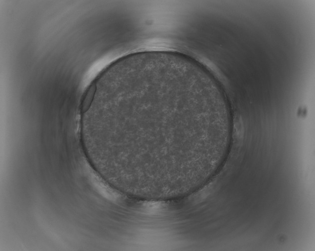 X0000110941461200907311005