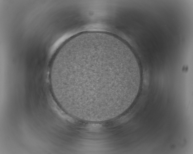 X0000110941462200907311005