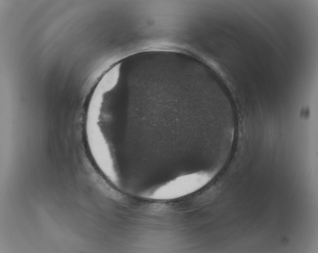 X0000110941463200907311005