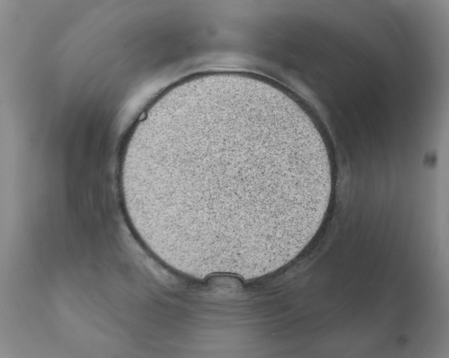 X0000110941464200907311005