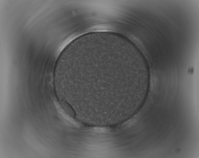 X0000110941465200907311005