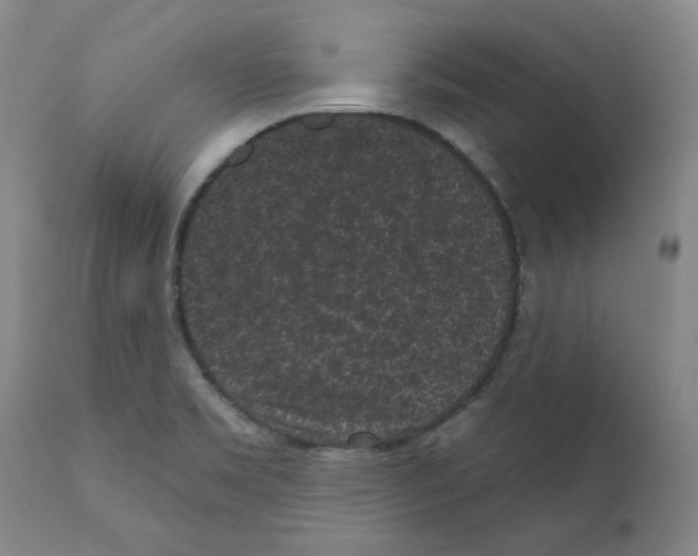 X0000110941469200907311005