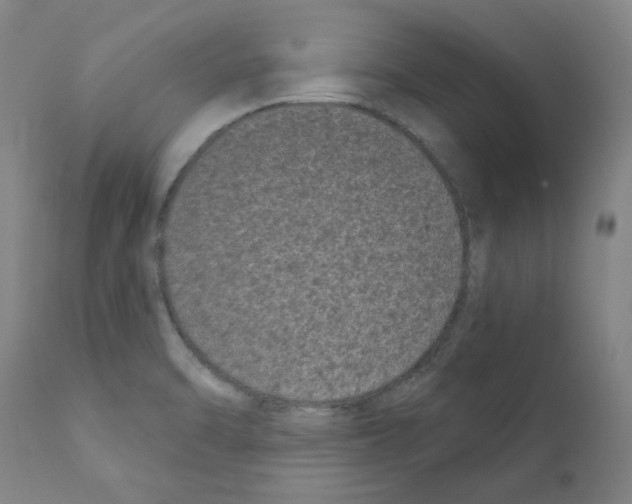 X0000110941470200907311005
