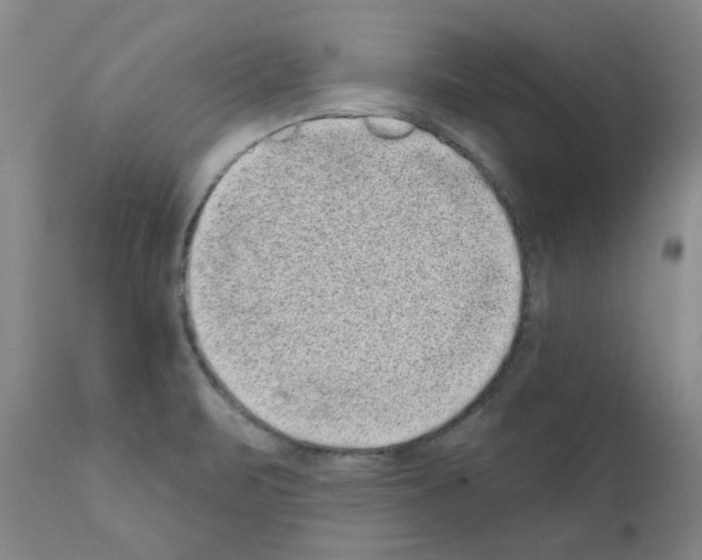 X0000110941471200907311005