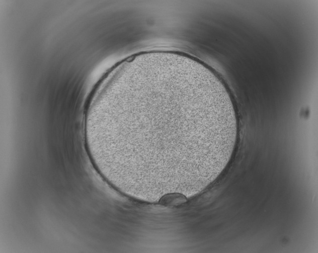 X0000110941472200907311005