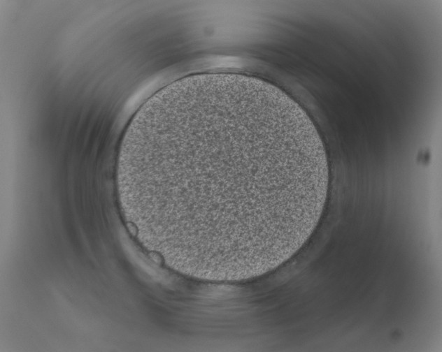 X0000110941475200907311005