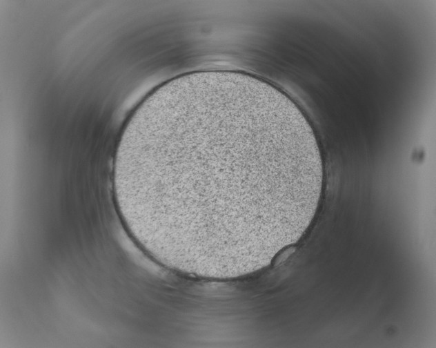 X0000110941476200907311005