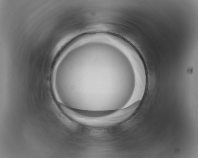 X0000110941477200907311005