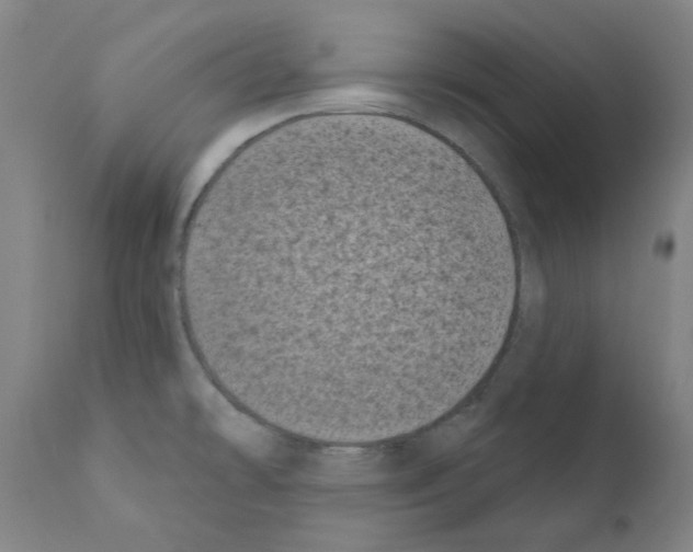 X0000110941478200907311005