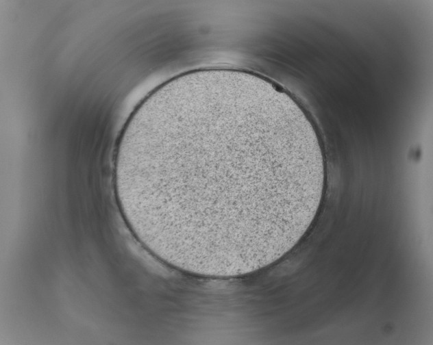 X0000110941480200907311005