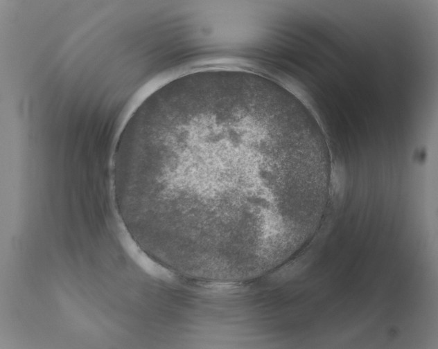 X0000110941482200907311005