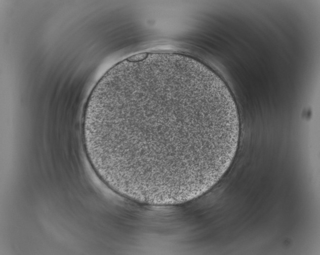 X0000110941483200907311005