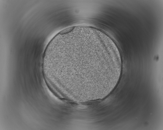 X0000110941484200907311005