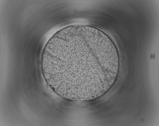 X0000110941488200907311005