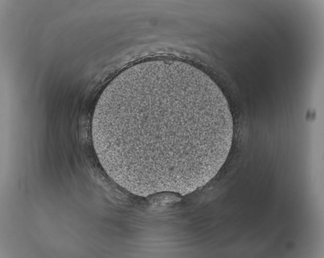 X0000110941490200907311004
