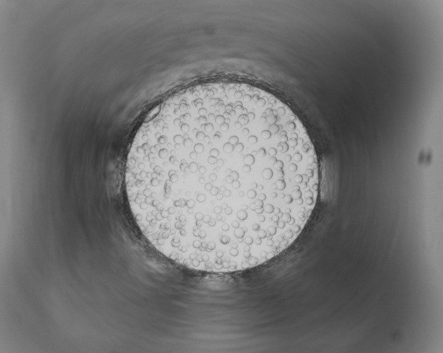 X0000110941491200907311004