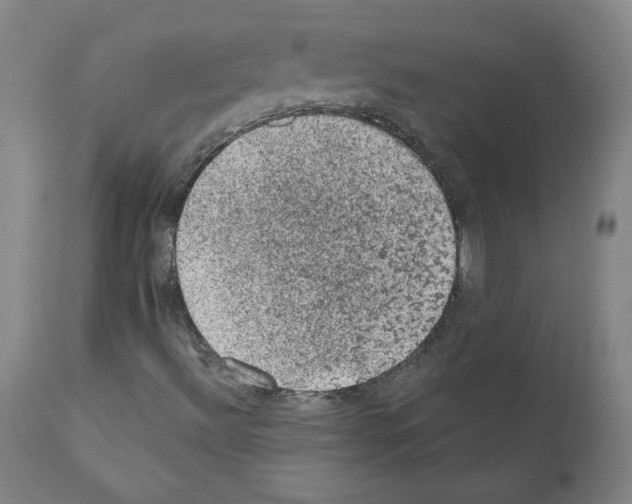 X0000110941492200907311004