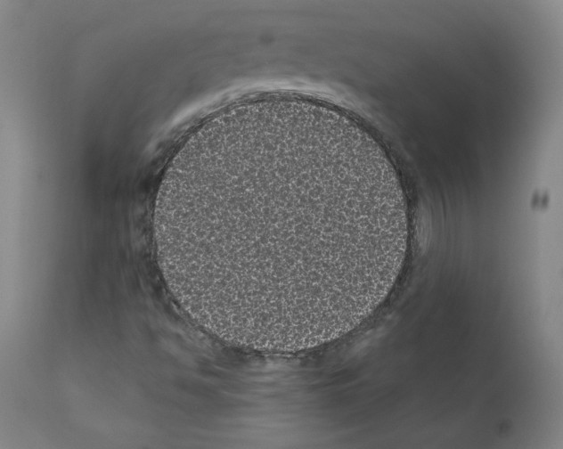 X0000110941494200907311004