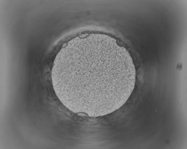 X0000110941495200907311004
