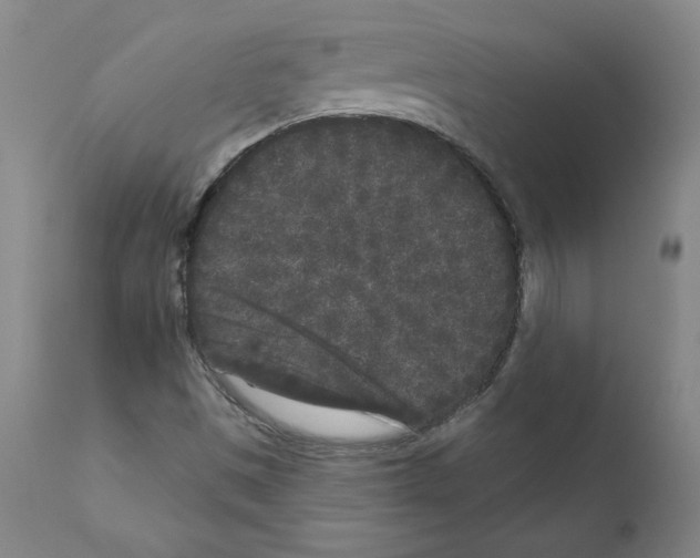 X0000110941497200907311004