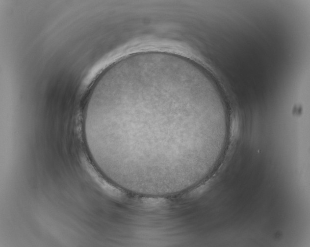 X0000110941498200907311004