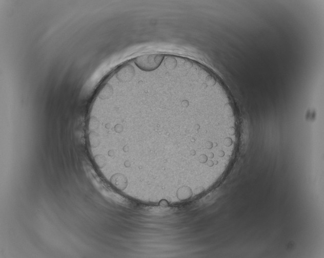 X0000110941499200907311004