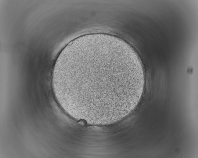 X0000110941500200907311004