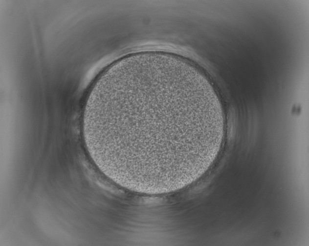 X0000110941501200907311004