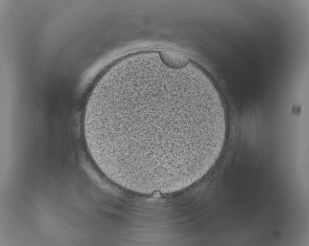 X0000110941503200907311004