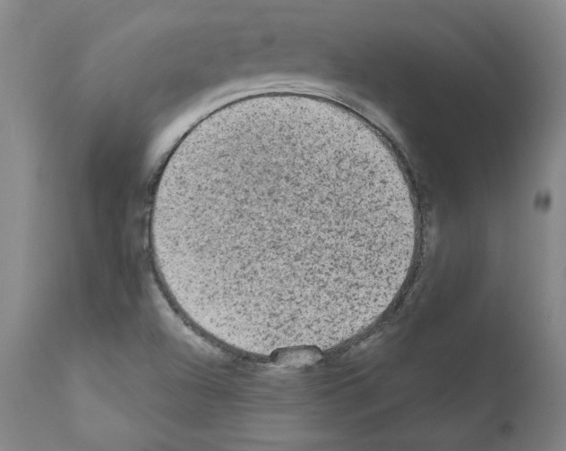 X0000110941504200907311004
