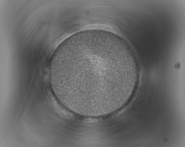 X0000110941505200907311004