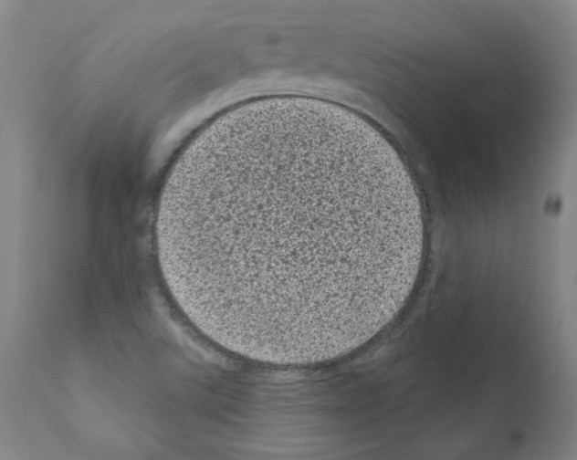 X0000110941507200907311004