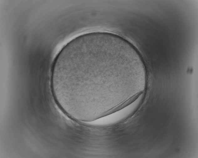 X0000110941508200907311005