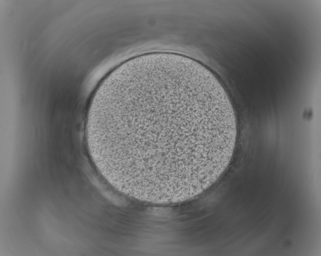X0000110941511200907311005
