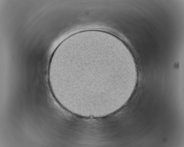 X0000110941512200907311005