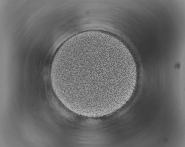 X0000110941513200907311005