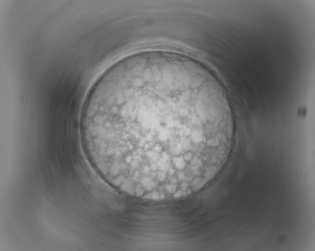 X0000110941514200907311005
