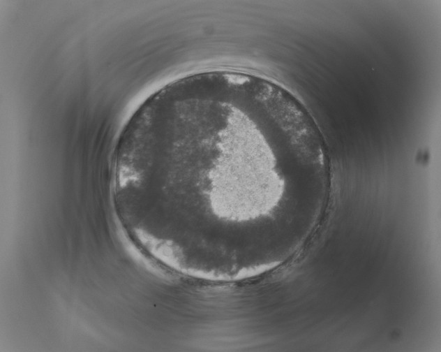 X0000110941515200907311005