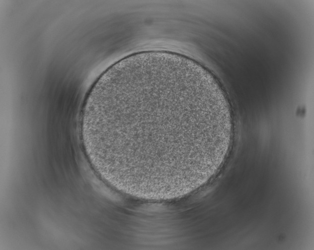 X0000110941517200907311005