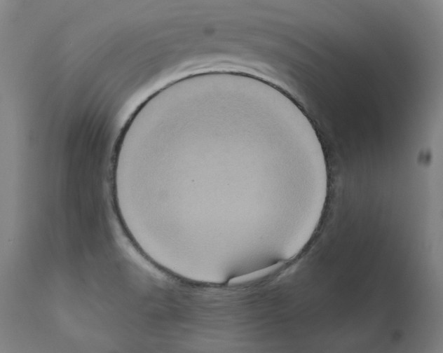 X0000110941518200907311005