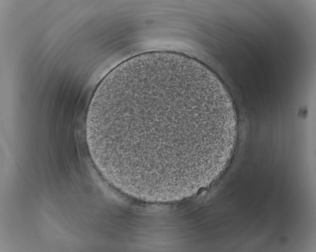 X0000110941521200907311005